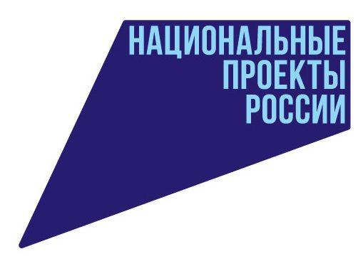 Национальные проекты России